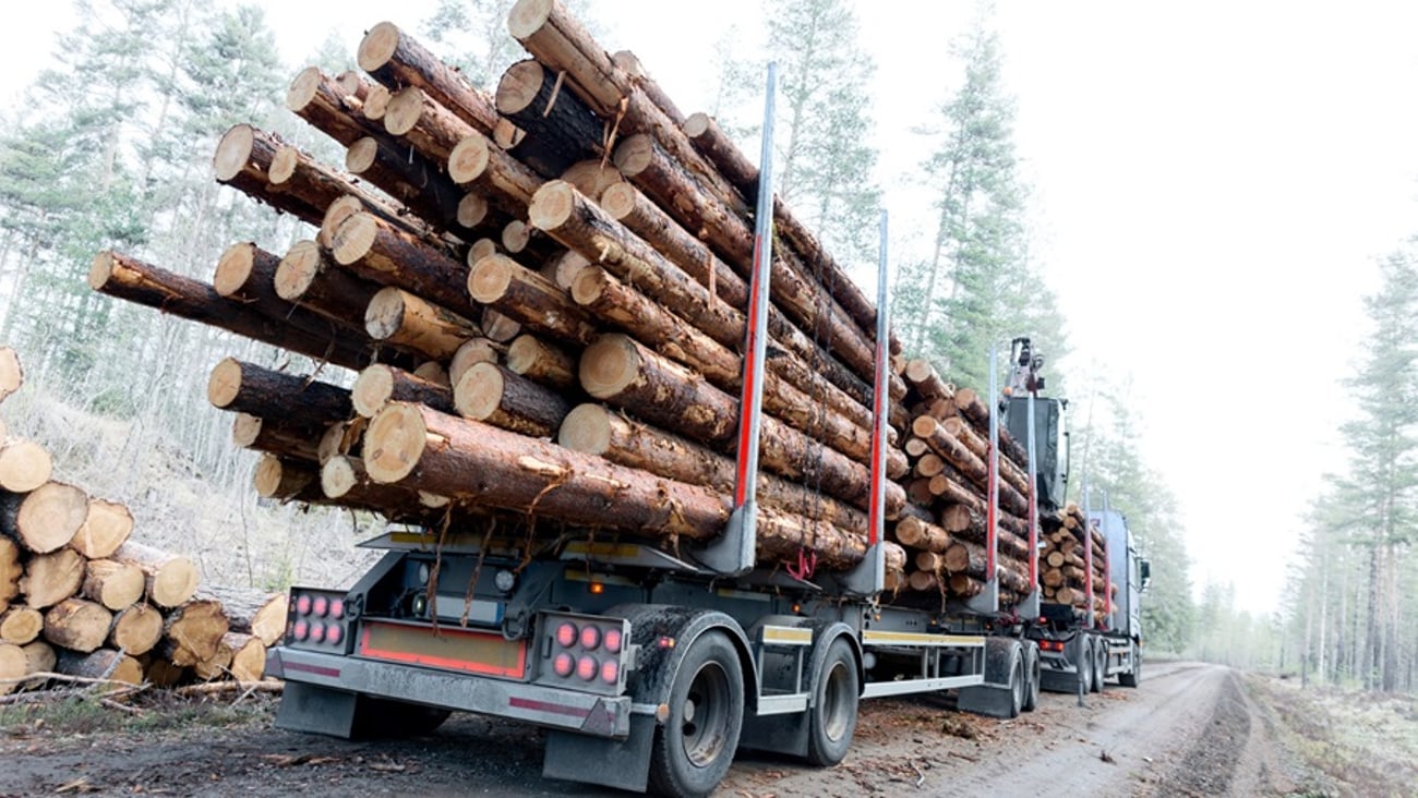 NAHB Lumber Logs imports