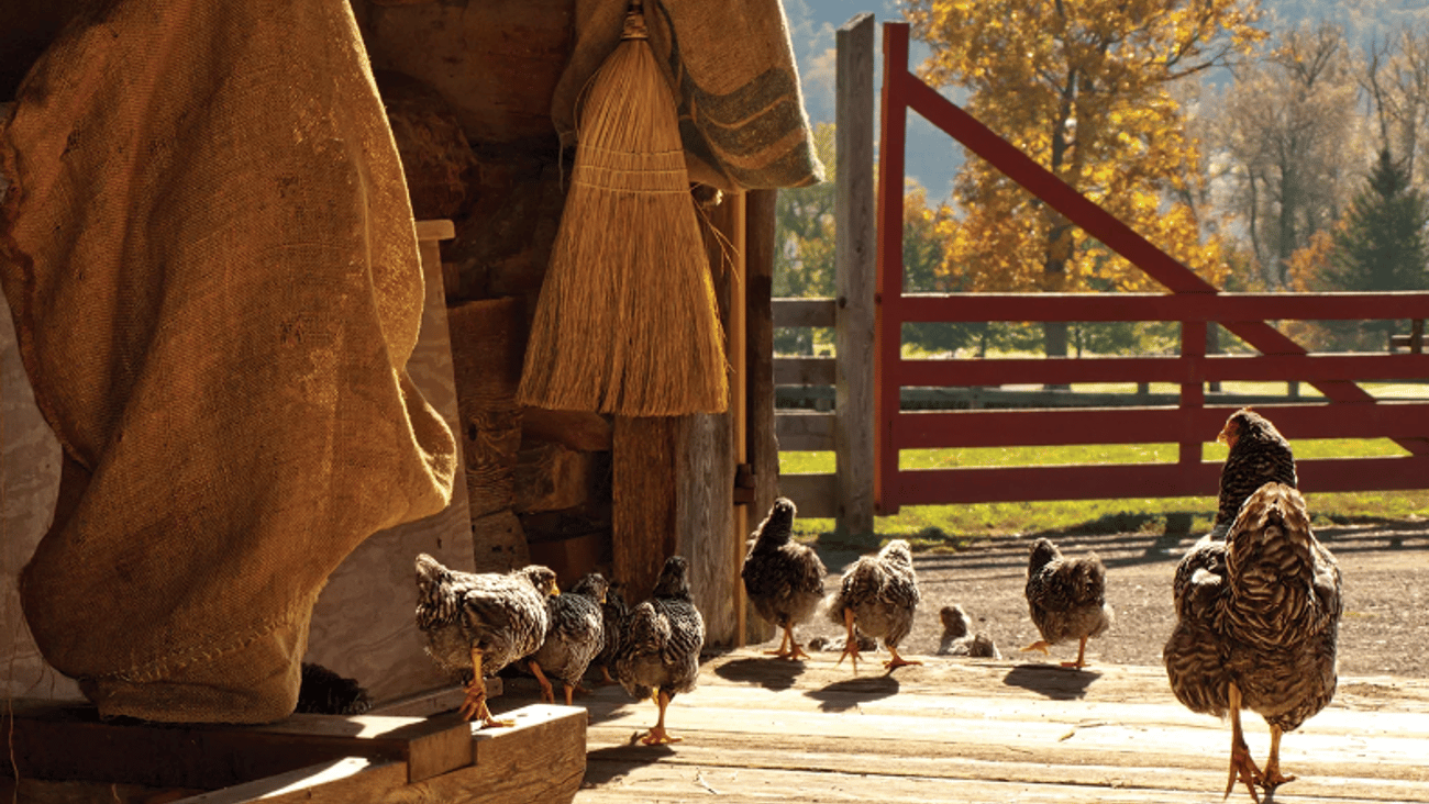 Home Hardware expands farming category