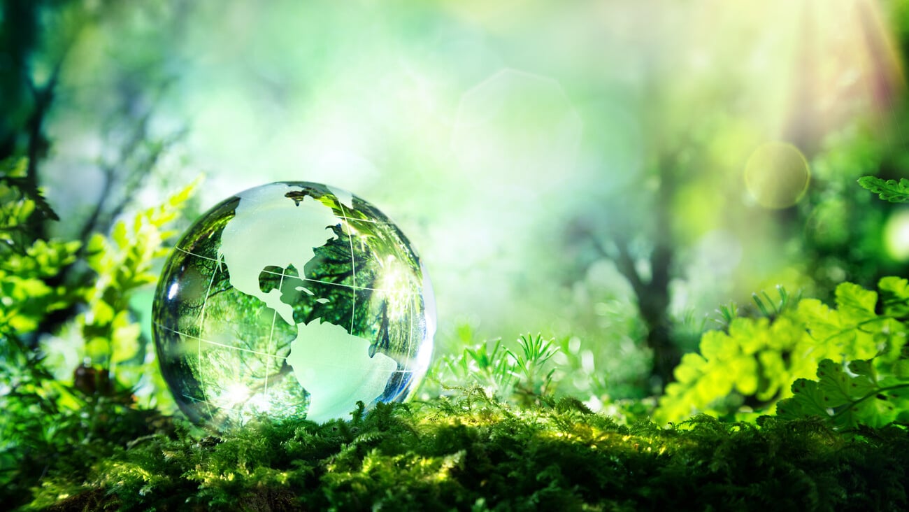 crystal globe resting on moss in a forest - environment concept