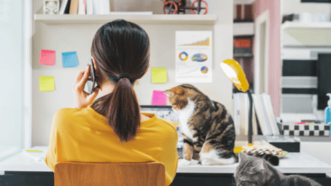 a woman sitting at a desk with a cat