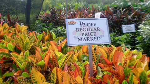 a sign on an orange flower