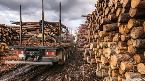 a truck driving down a dirt road