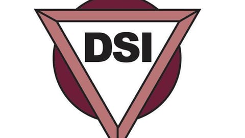 DSI Logo