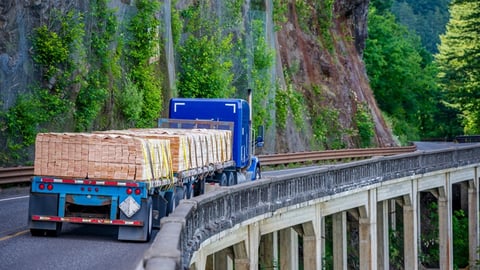 a train traveling down train tracks near a forest