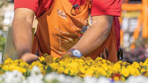 Home Depot spring 2022 hiring