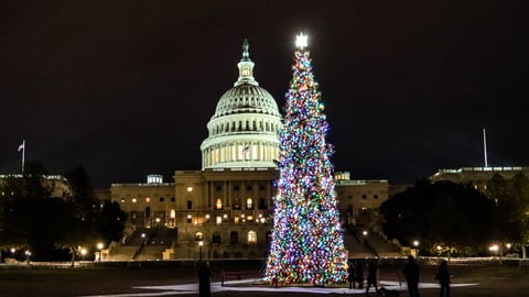 84 Lumber Capitol Christmas Tree