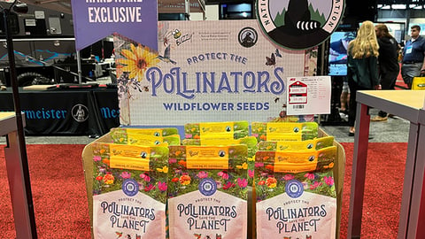 Wildflower seeds