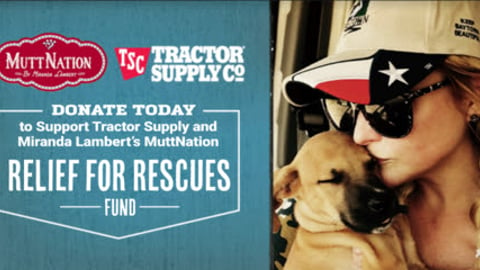 Tractor Supply Miranda Lambert