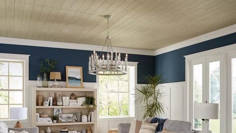 Armstrong ceiling planks B