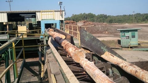 Miss. sawmill expansion