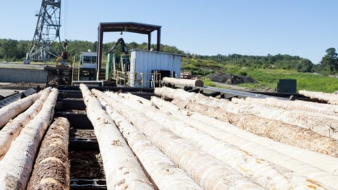 Jasper Lumber expansion
