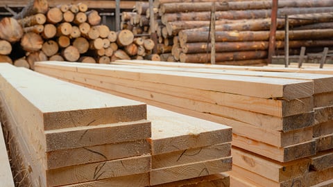 sawmill