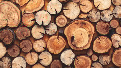 Wooden natural sawn logs as background, top view, flat lay; Shutterstock ID 687345520