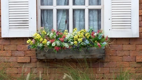 Window box