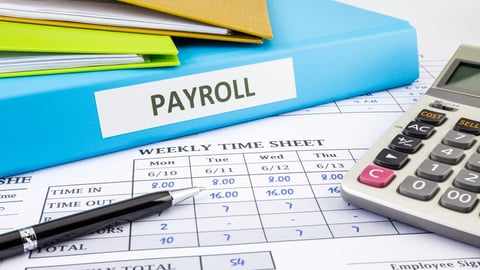 PAYROLL word on blue binder place on weekly time sheet and payroll summary report, human resources concept; Shutterstock ID 241271677