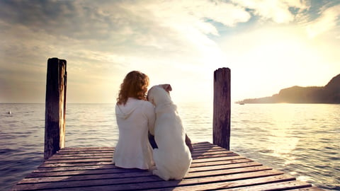 woman embracing sweetly his dog while looking the view; Shutterstock ID 421660141