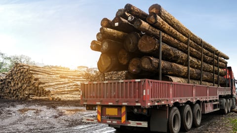 The train transported wood in a wood processing plant; Shutterstock ID 1055455451