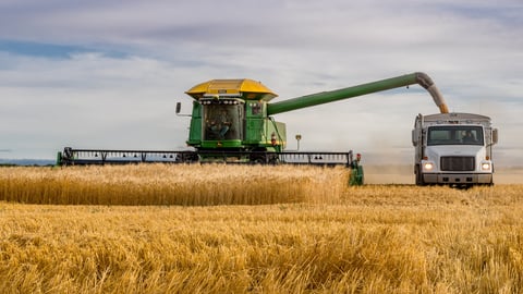 Swift Current, SK, Canada- Sept 8, 2019: Combine unloading wheat into grain truck at golden hour; Shutterstock ID 1499228411