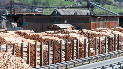 Stock timber in saw mill. Loader working in saw mill. A lot of trunks, stack of wood lumber.; Shutterstock ID 1389136391