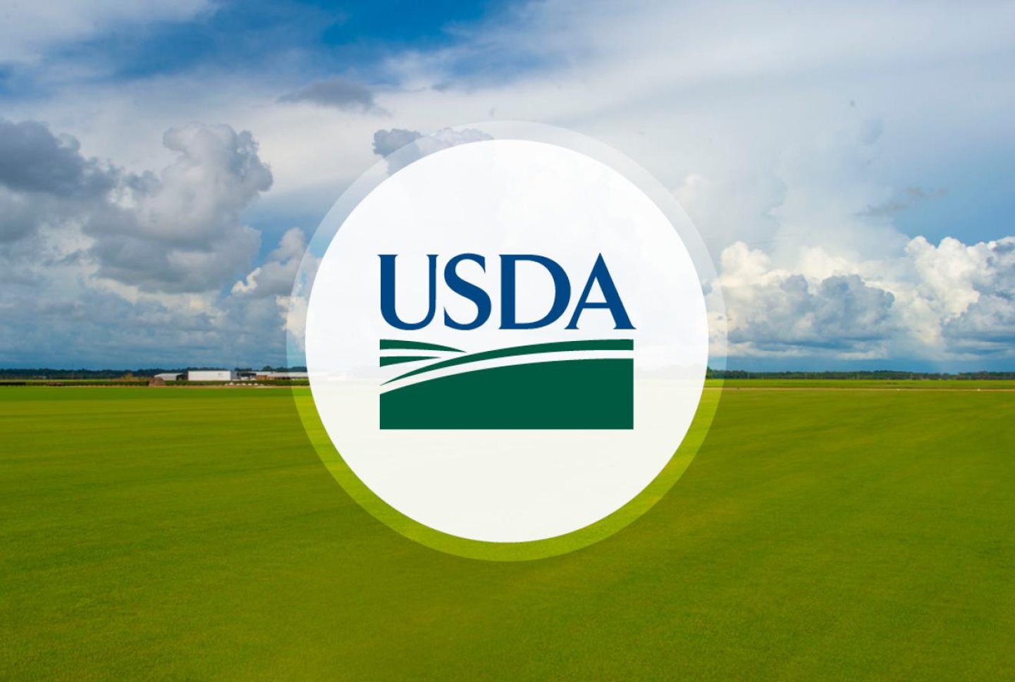 USDA timber investment
