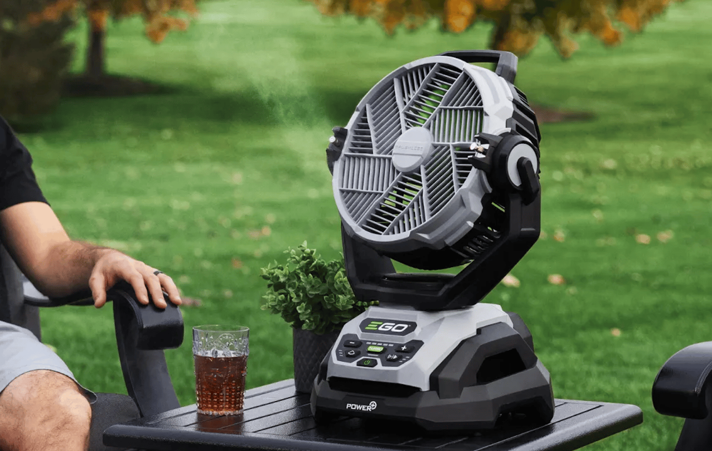 ego fan