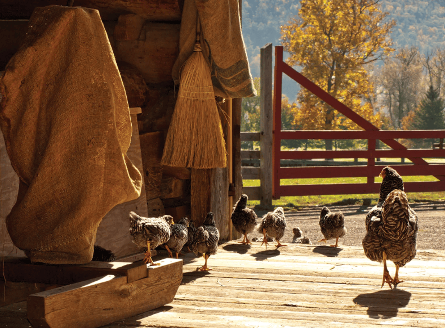 Home Hardware expands farming category