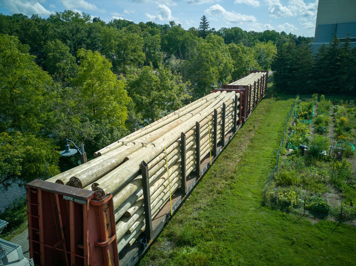 Canadian lumber logs being transported by freight train; Shutterstock ID 1488567011