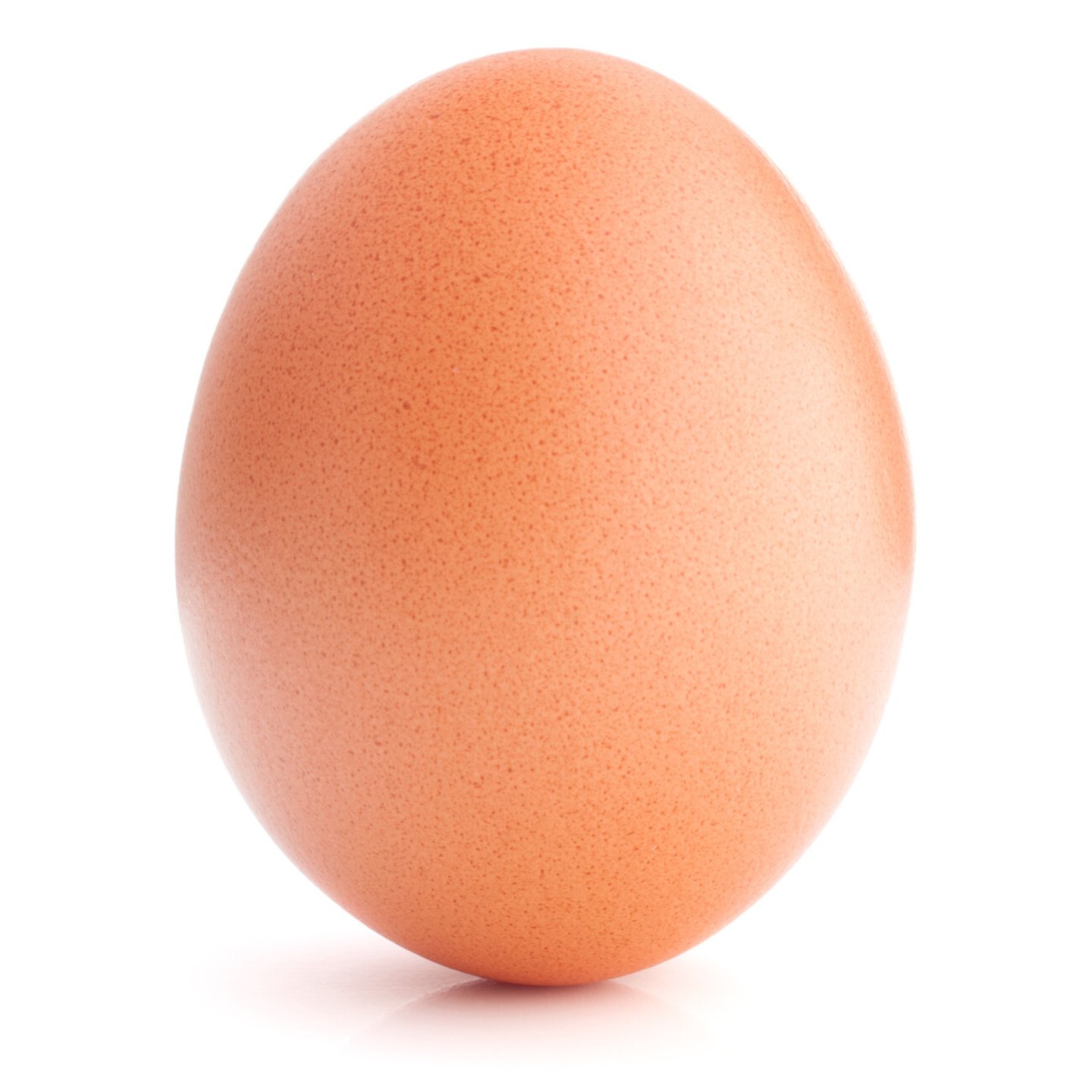Egg isolated on white background cutout; Shutterstock ID 521522104