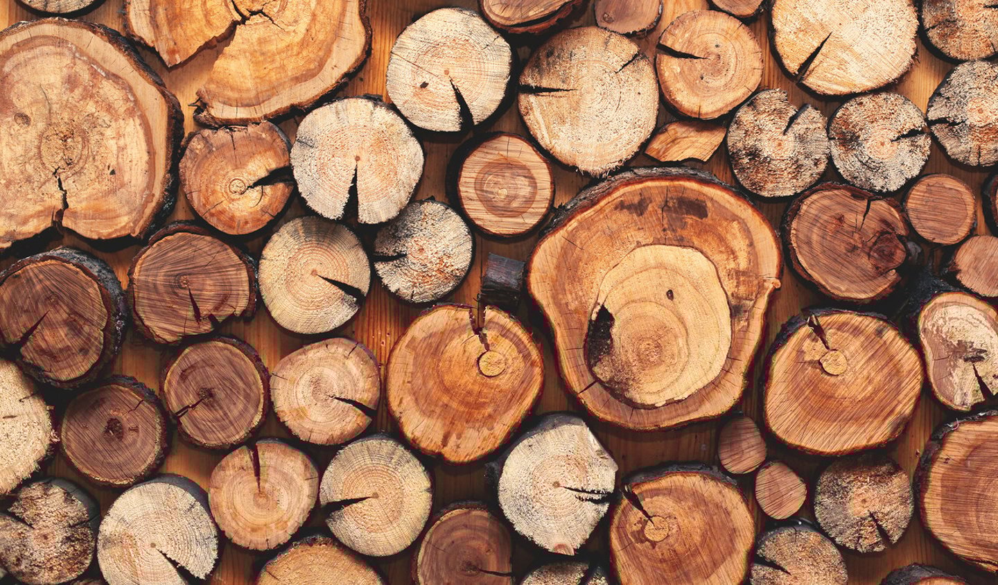 Wooden natural sawn logs as background, top view, flat lay; Shutterstock ID 687345520