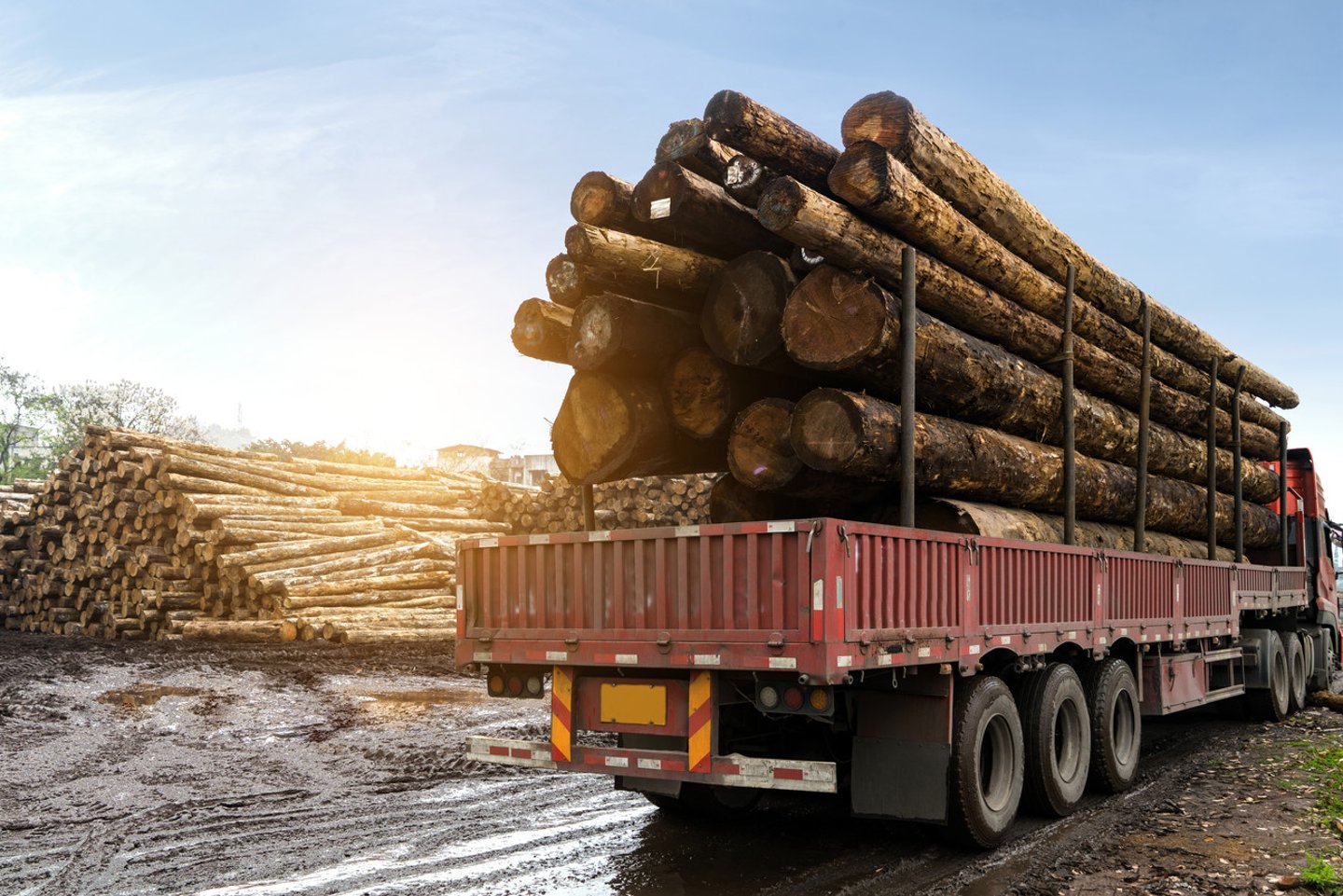 The train transported wood in a wood processing plant; Shutterstock ID 1055455451