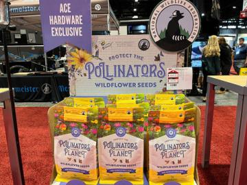 Wildflower seeds