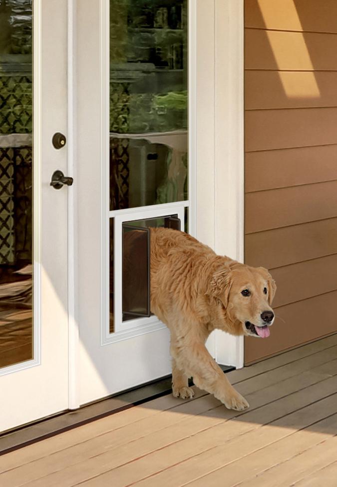 Dog door with outlet window