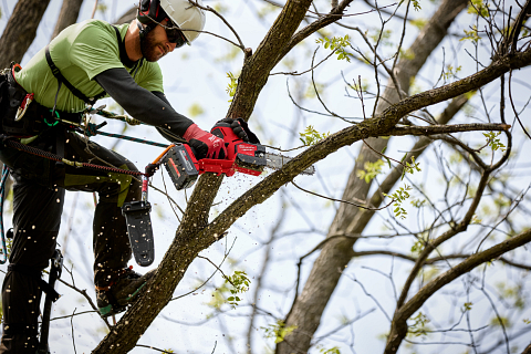 Milwaukee discount tools chainsaw