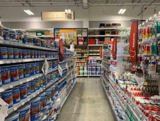 Ace Mexico paint