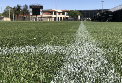 Barenbrug turf mix