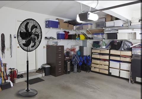 fan