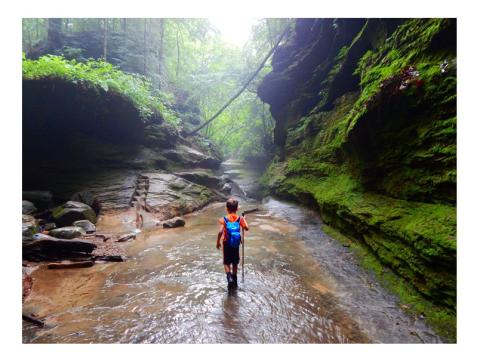 STIHL, grants, America state parks, 2022