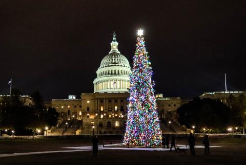 84 Lumber Capitol Christmas Tree