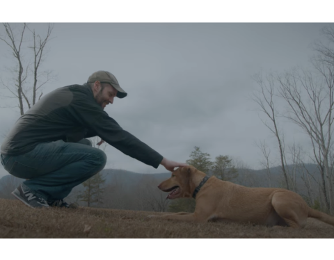 Keith's Ace, veteran and dog