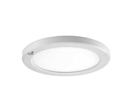 Leviton LED downlight