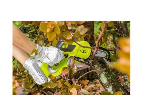 Sun Joe 5-inch pruning saw