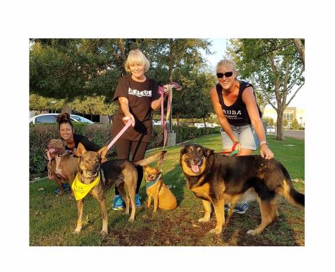 Westlake Ace thanks animal shelters 11/2022