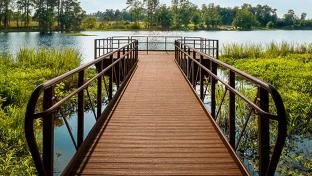 a bridge over a body of water